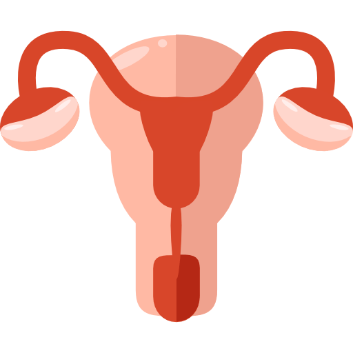 uterus Home